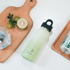 RevoMax 12oz Slim Vacuum Insulated Flask-Classic Series (SOFT LIME)